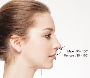 Facial proportion - Columellar labial angle - Rhinoplasty - side view