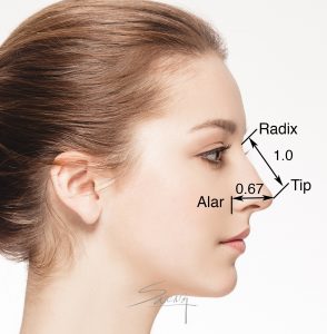 Facial proportion - Length of Nose - Rhinoplasty