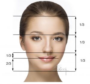Facial proportion - Rhinoplasty - front