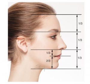 Facial proportion - Rhinoplasty - Side 